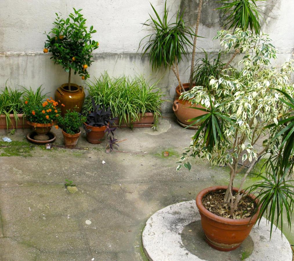 Place Wilson Niza Exterior foto