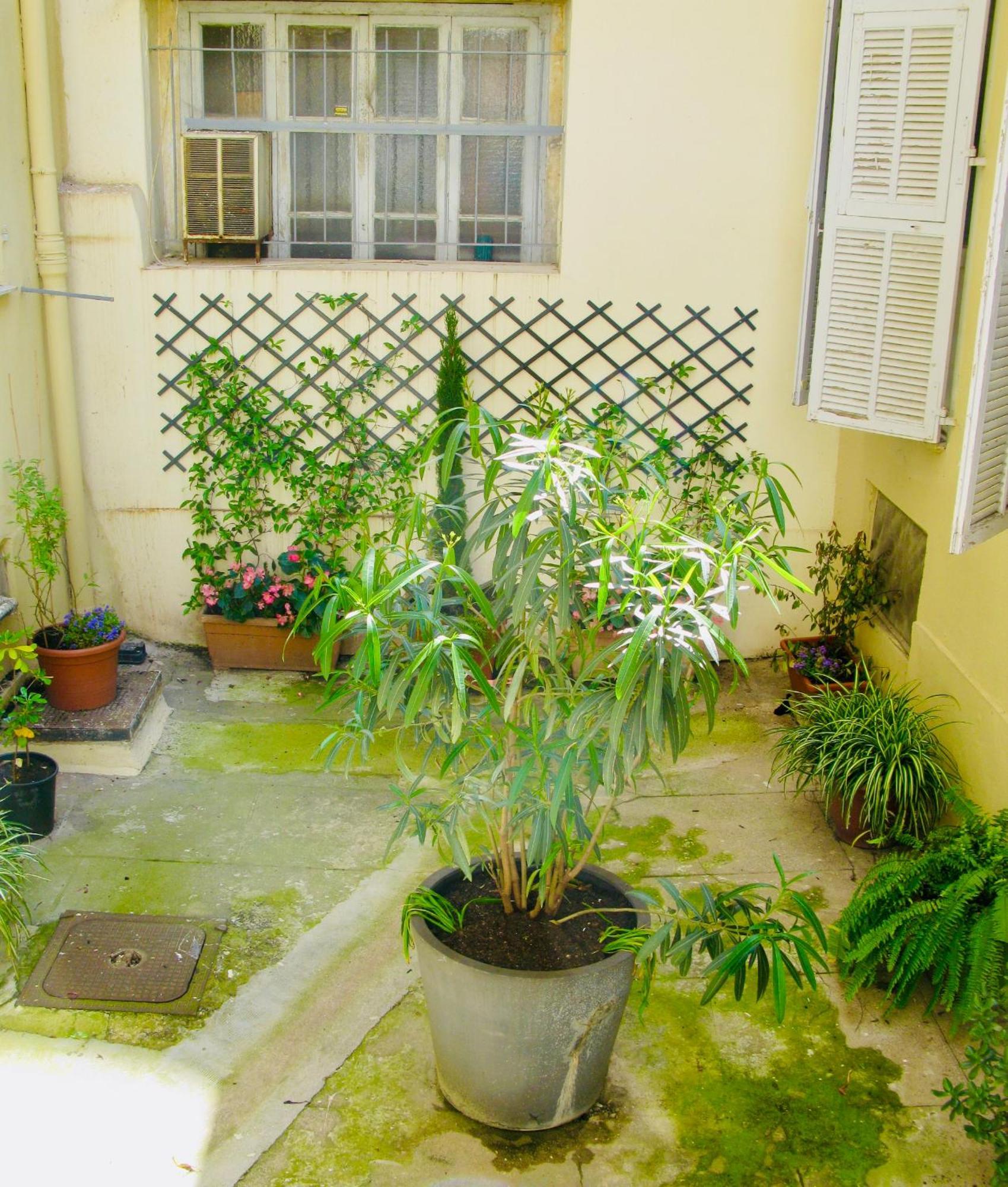 Place Wilson Niza Exterior foto